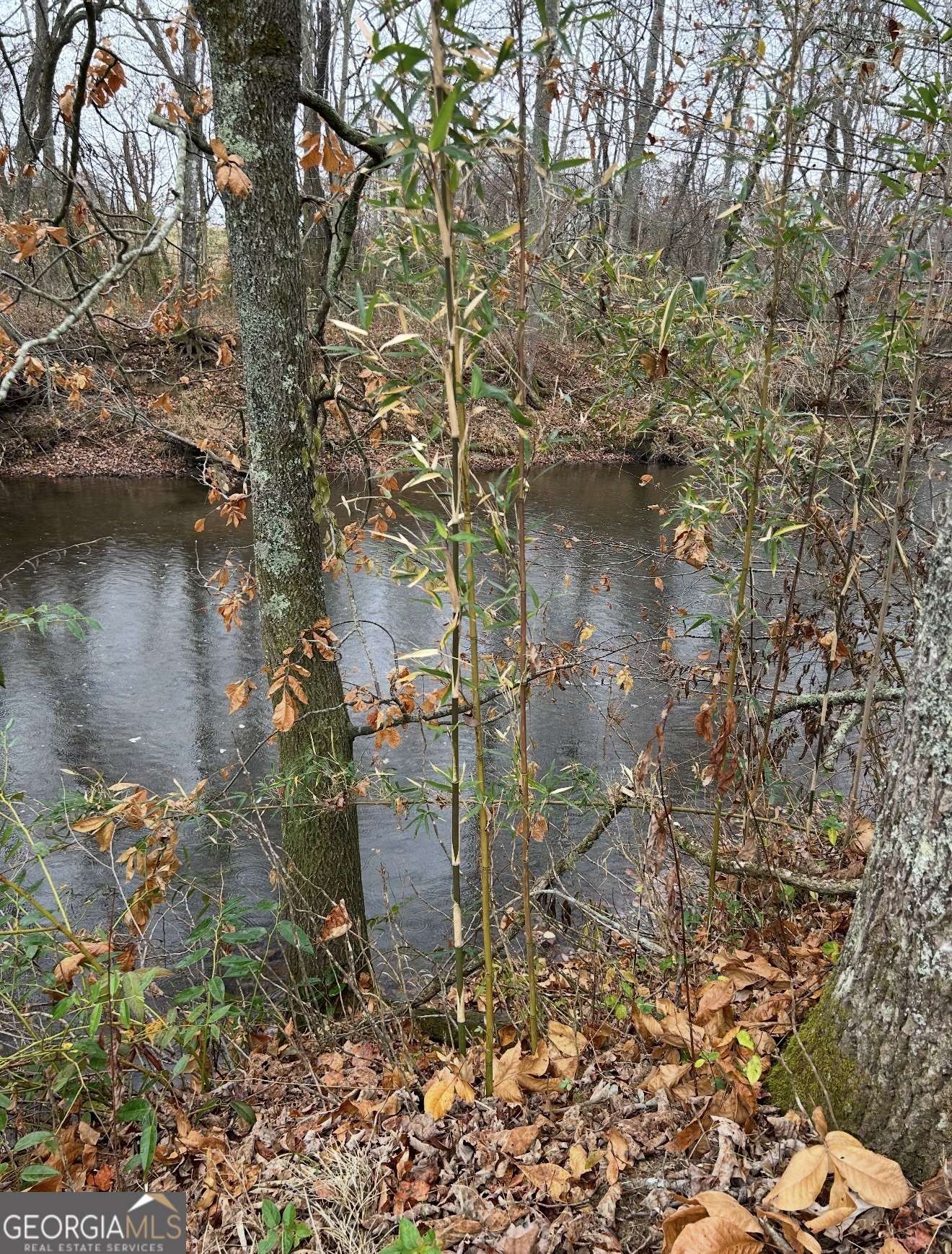Lot 9 Riverside Blairsville, GA 30512 - Photo 34 of 35 a backyard of a house with lots of green space