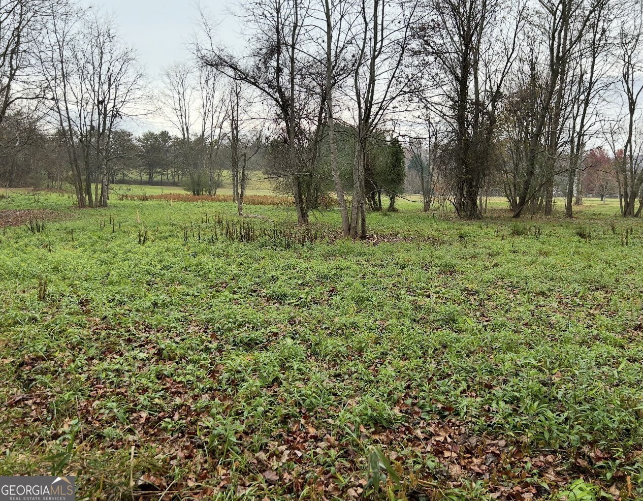 Lot 9 Riverside Blairsville, GA 30512 - Photo 35 of 35 a view of park with trees