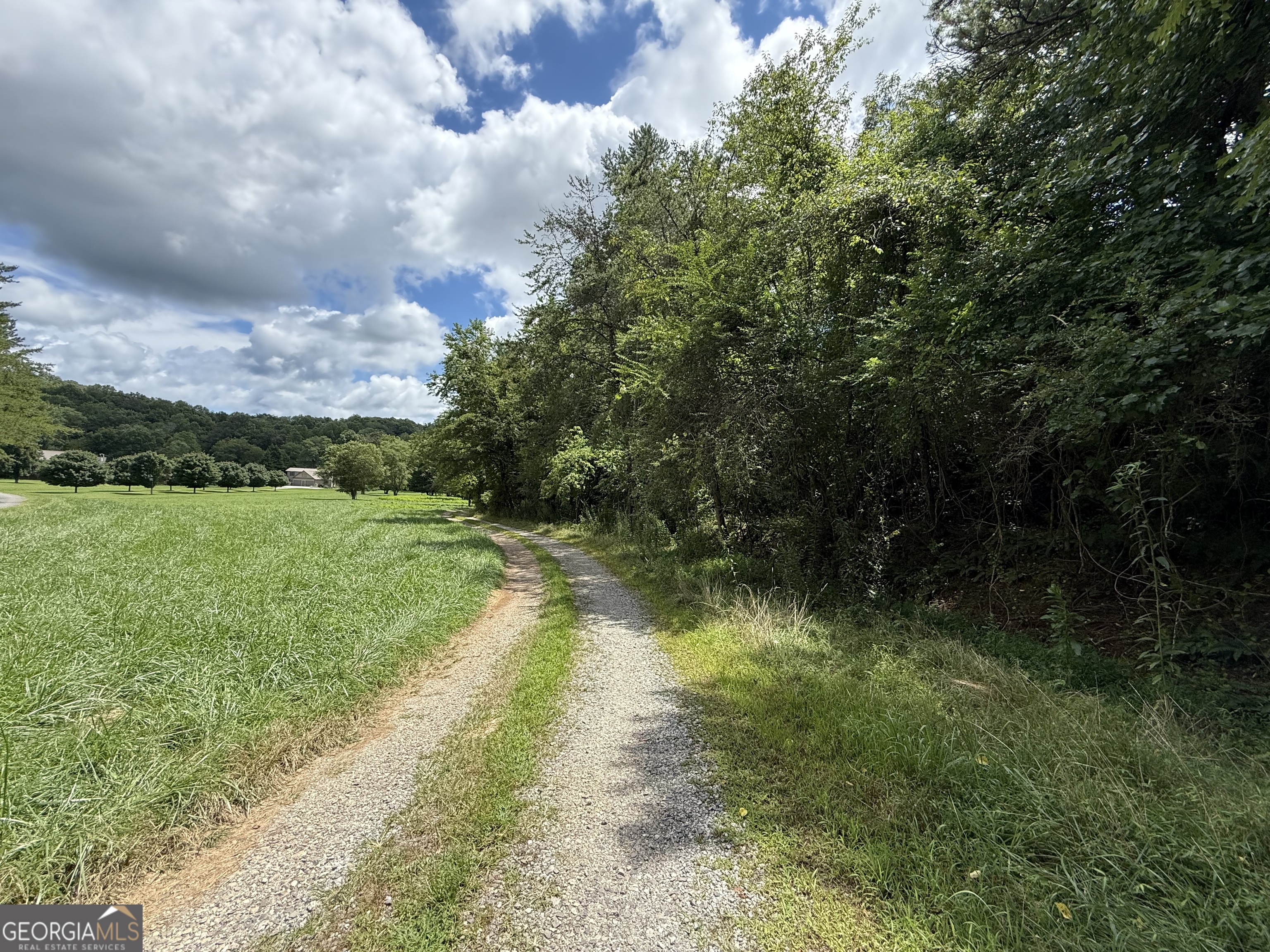 Lot 9 Riverside Blairsville, GA 30512 - Photo 6 of 35 a view of a lake view with a big yard