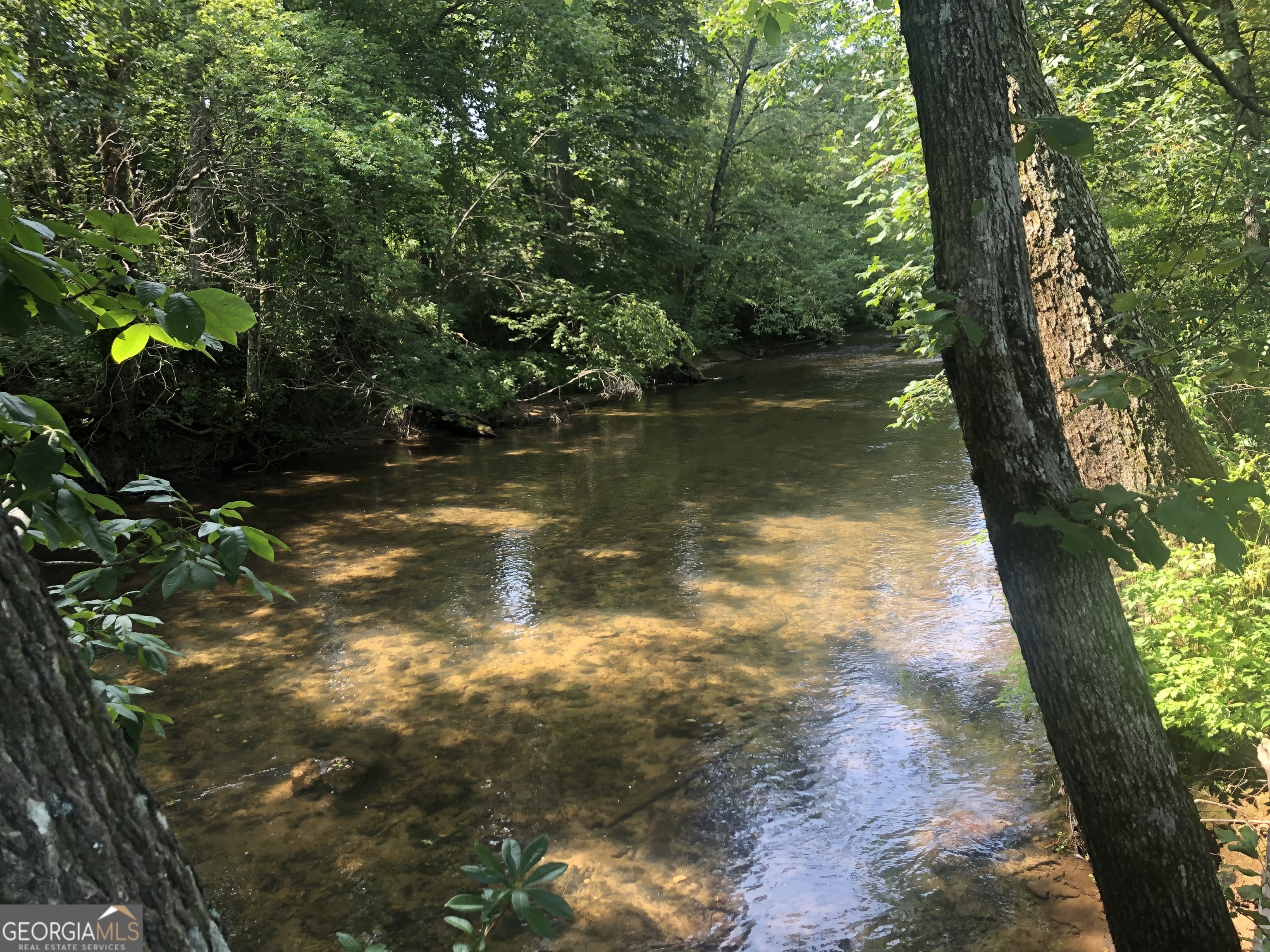 Lot 9 Riverside Blairsville, GA 30512 - Photo 7 of 35 a view of lake