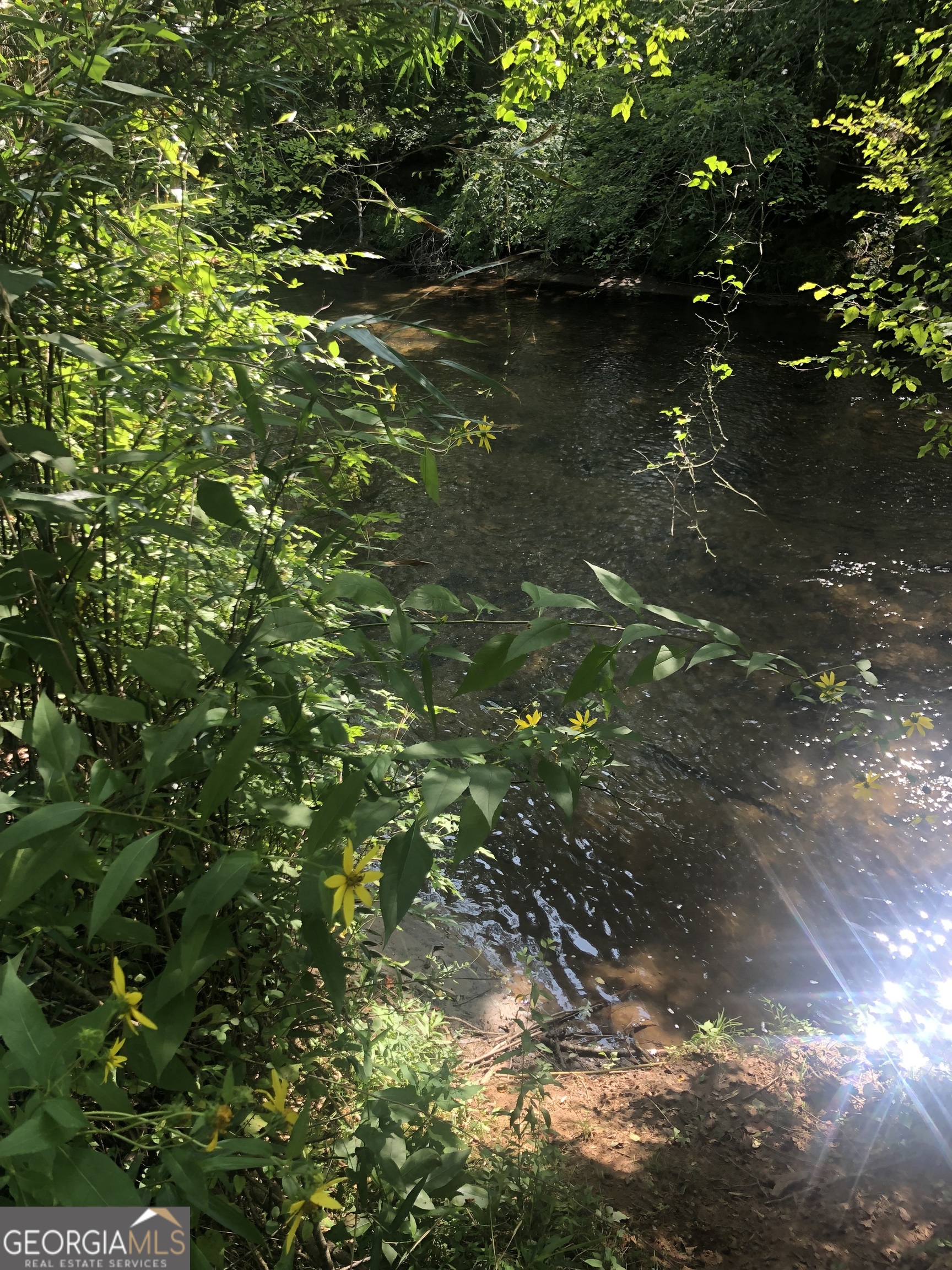 Lot 9 Riverside Blairsville, GA 30512 - Photo 8 of 35 a view of a tree with a tree