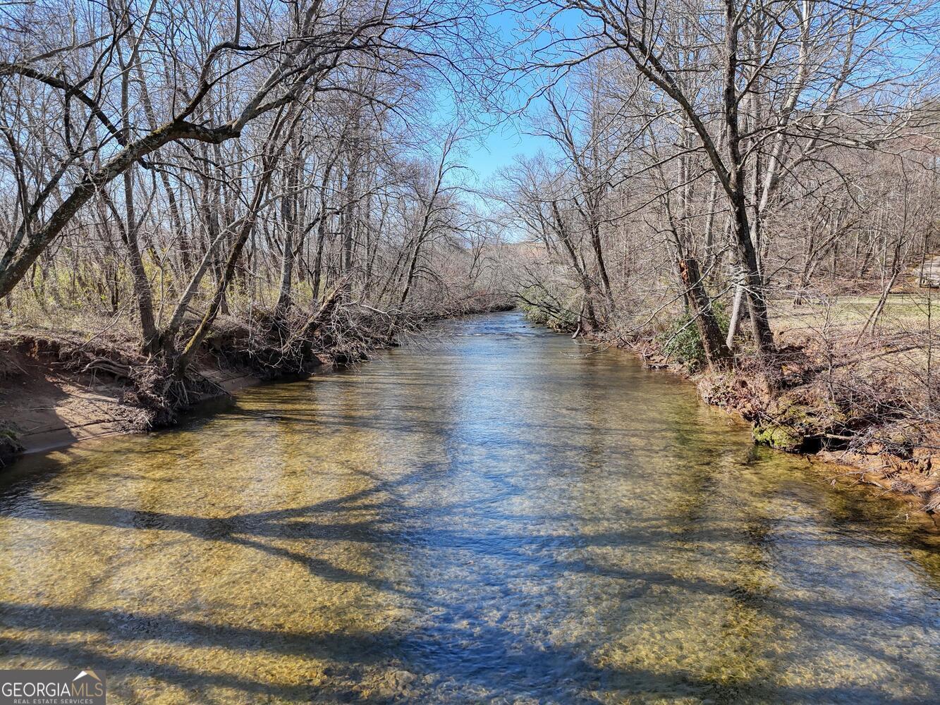 Lot 9 Riverside Blairsville, GA 30512 - Photo 9 of 35 a view of yard with trees