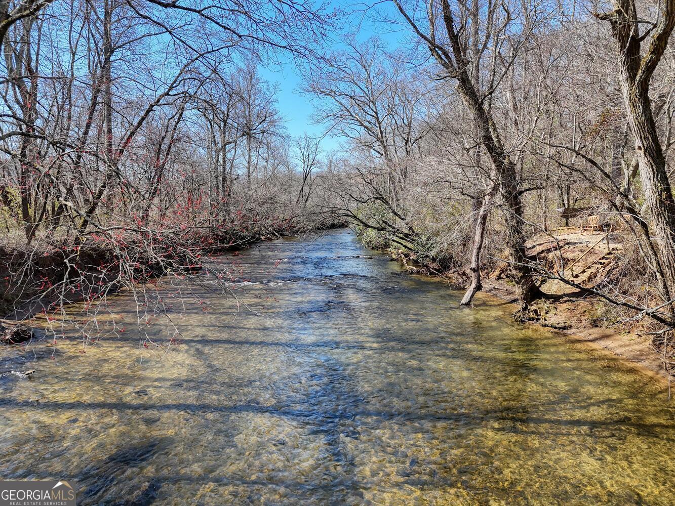 Lot 9 Riverside Blairsville, GA 30512 - Photo 10 of 35 a view of a yard with large trees
