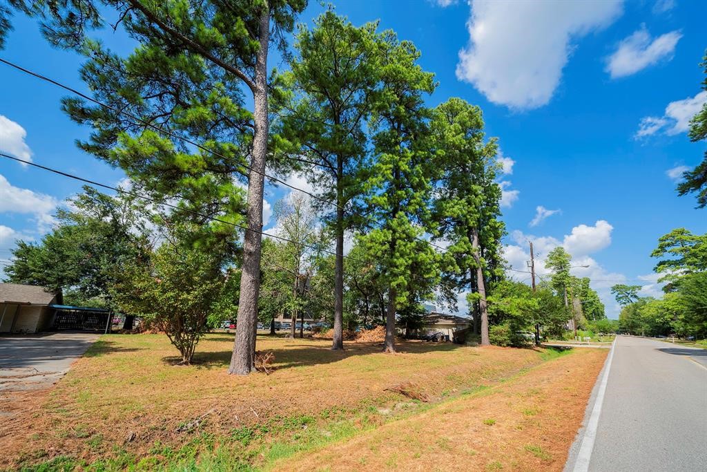 0 Mossforest Drive Houston, TX 77090 - Photo 3 of 9 a view of a yard with plants and trees