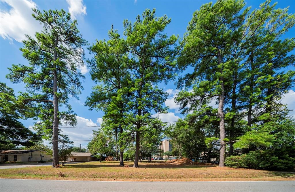 0 Mossforest Drive Houston, TX 77090 - Photo 4 of 9