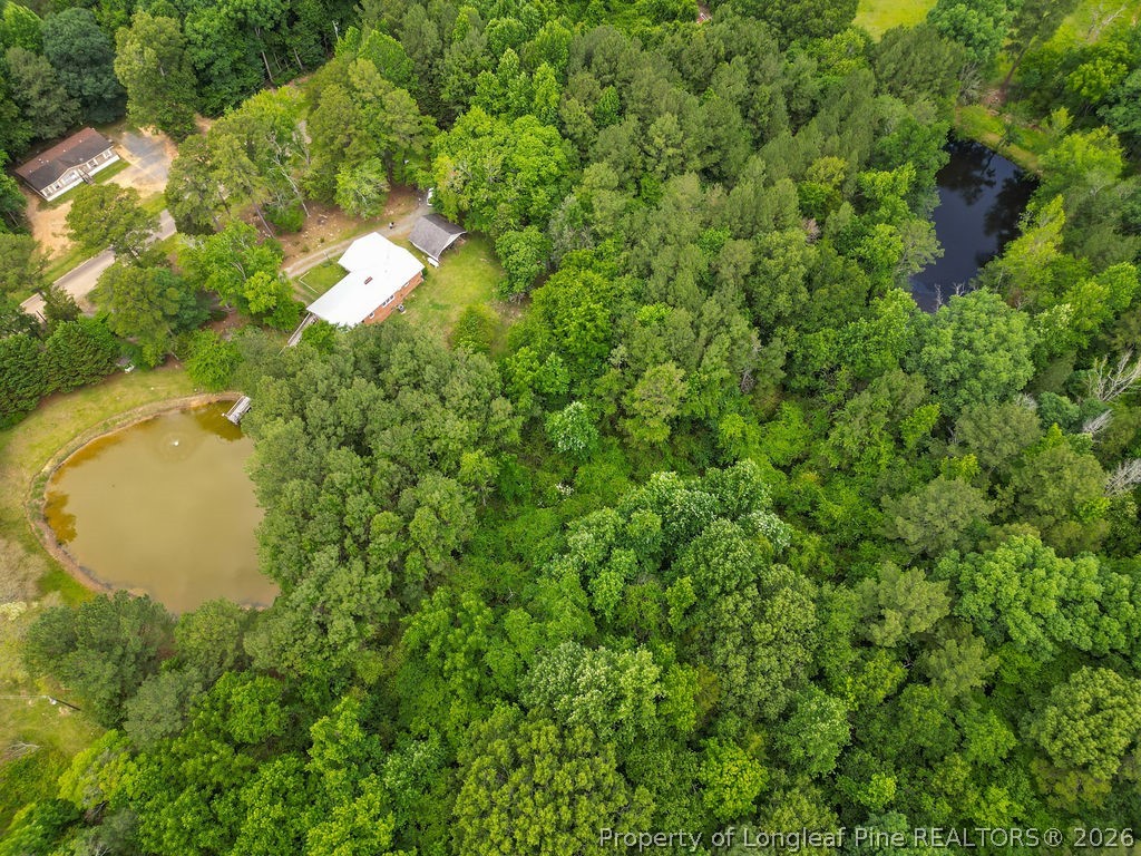 475 Simmons Road Robbins, NC 27325 - Photo 41 of 41