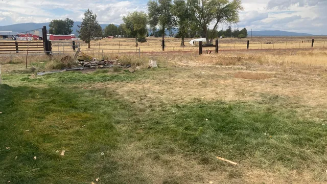 a view of outdoor space with garden and trees