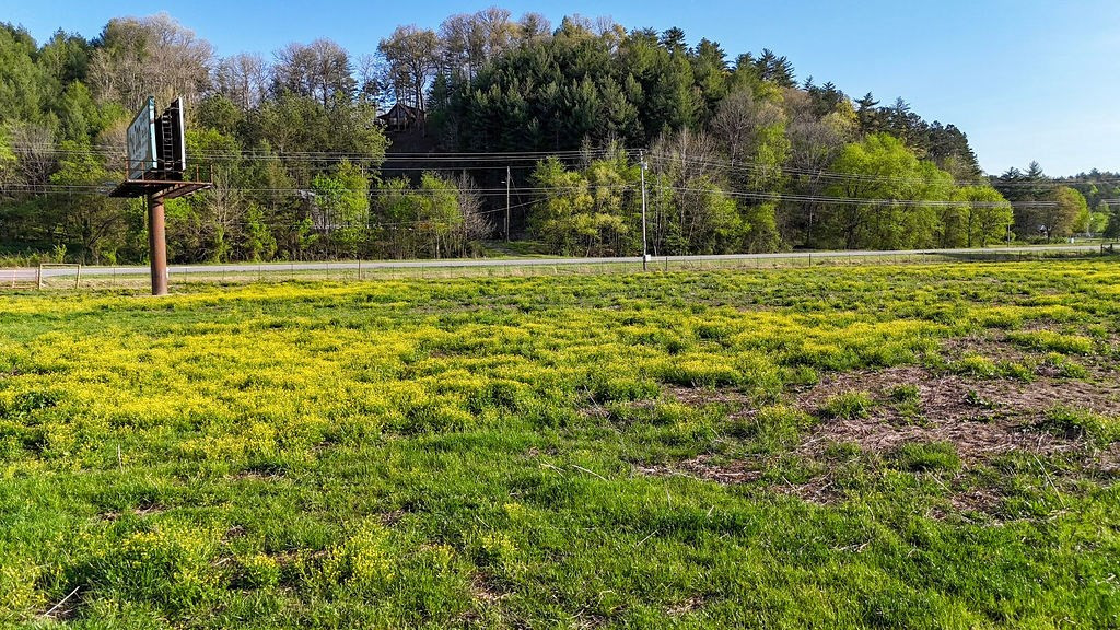 3872 Nc Highway Murphy, NC 28906 - Photo 11 of 19