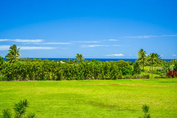 $3,900,000 | 5421 C Kalalea View Drive, Anahola, HI 96703