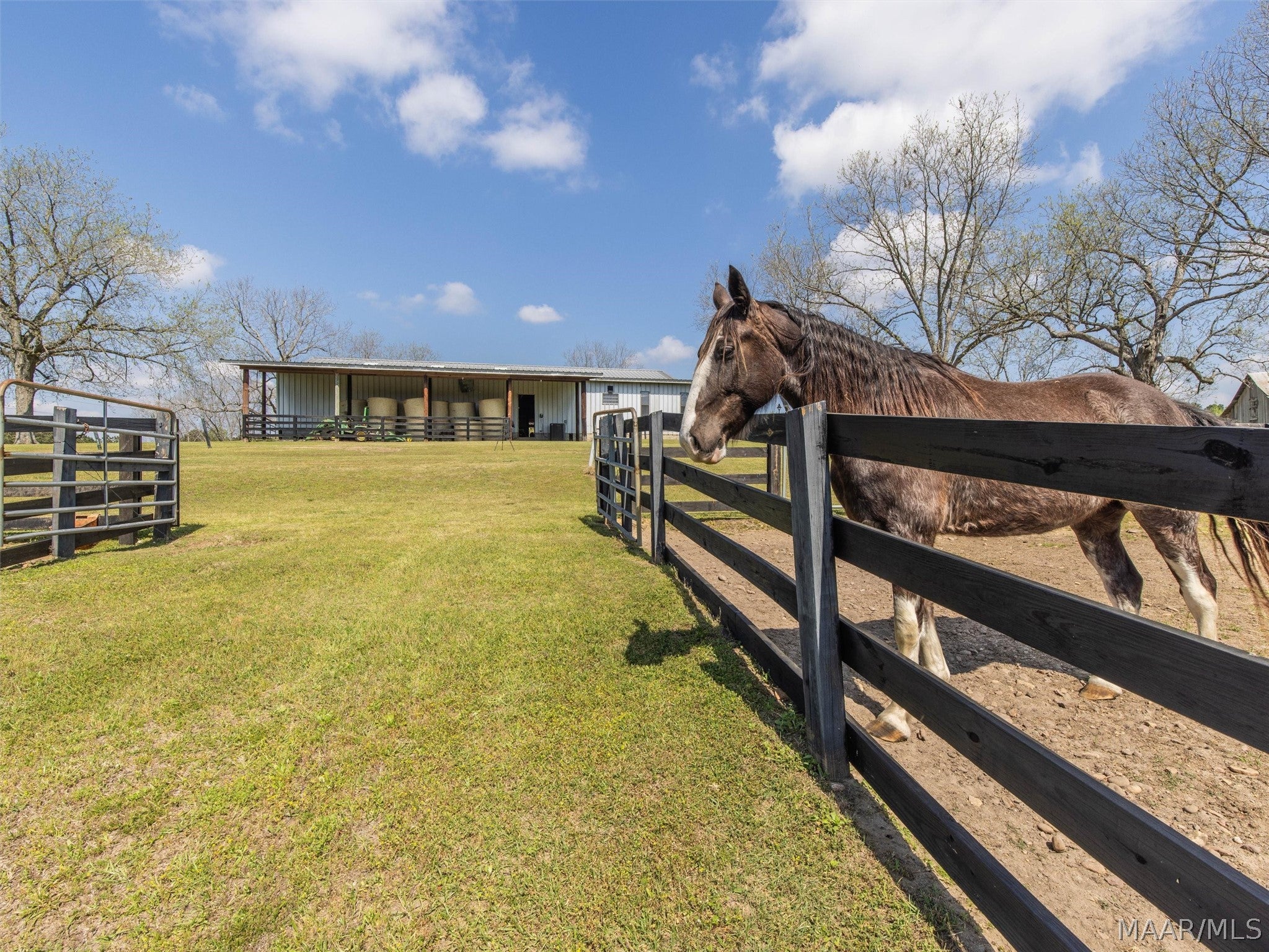 398 Abrams Road Tallassee, AL 36078 - Photo 65 of 75 Gallery Image 65