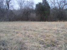 852 Ridgefield Road Richmond, KY 40475 - Photo 4 of 8 Photo 4