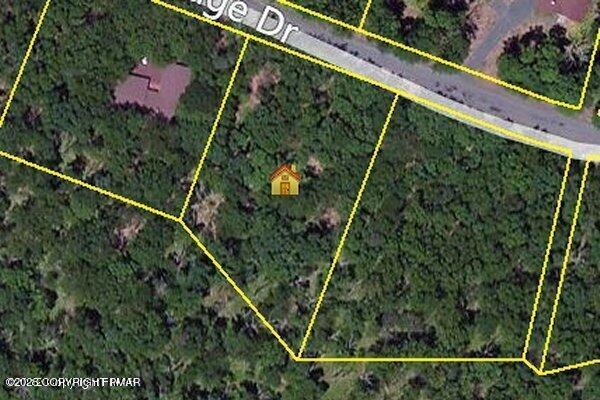 1608 Blue Ridge Drive Canadensis, PA 18325 - Photo 6 of 6 a picture of a tree