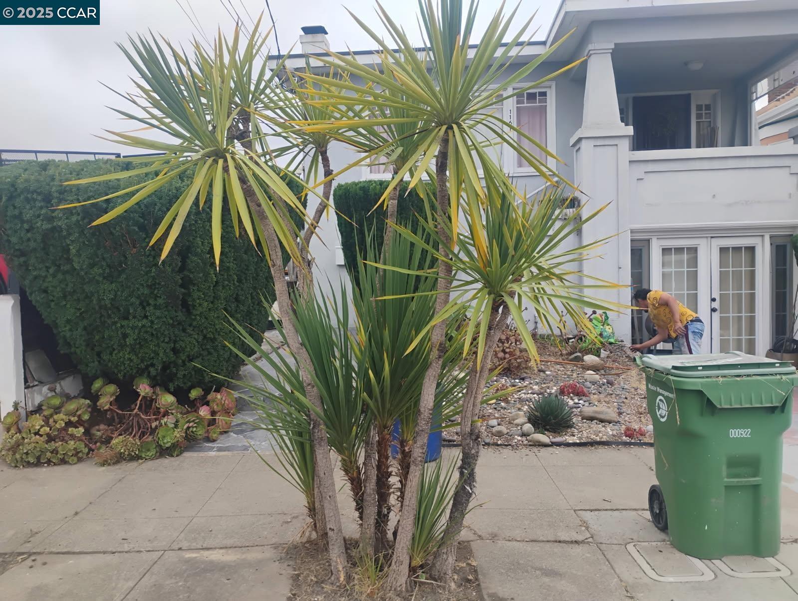 1161 64th Street Oakland, CA 94608 - Photo 7 of 34 a view of a backyard