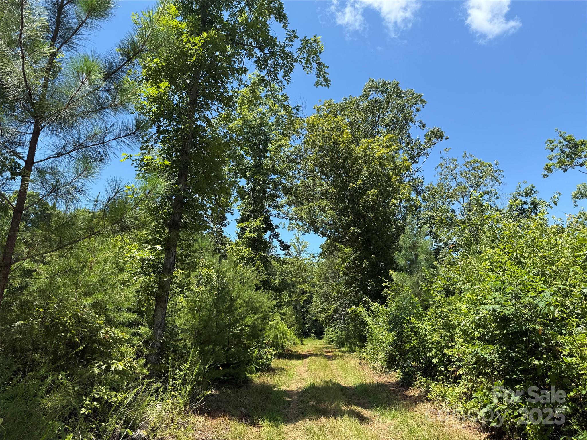 0 Collins Road, Unit 3 Forest City, NC 28043 - Photo 11 of 13 Gallery Image 11