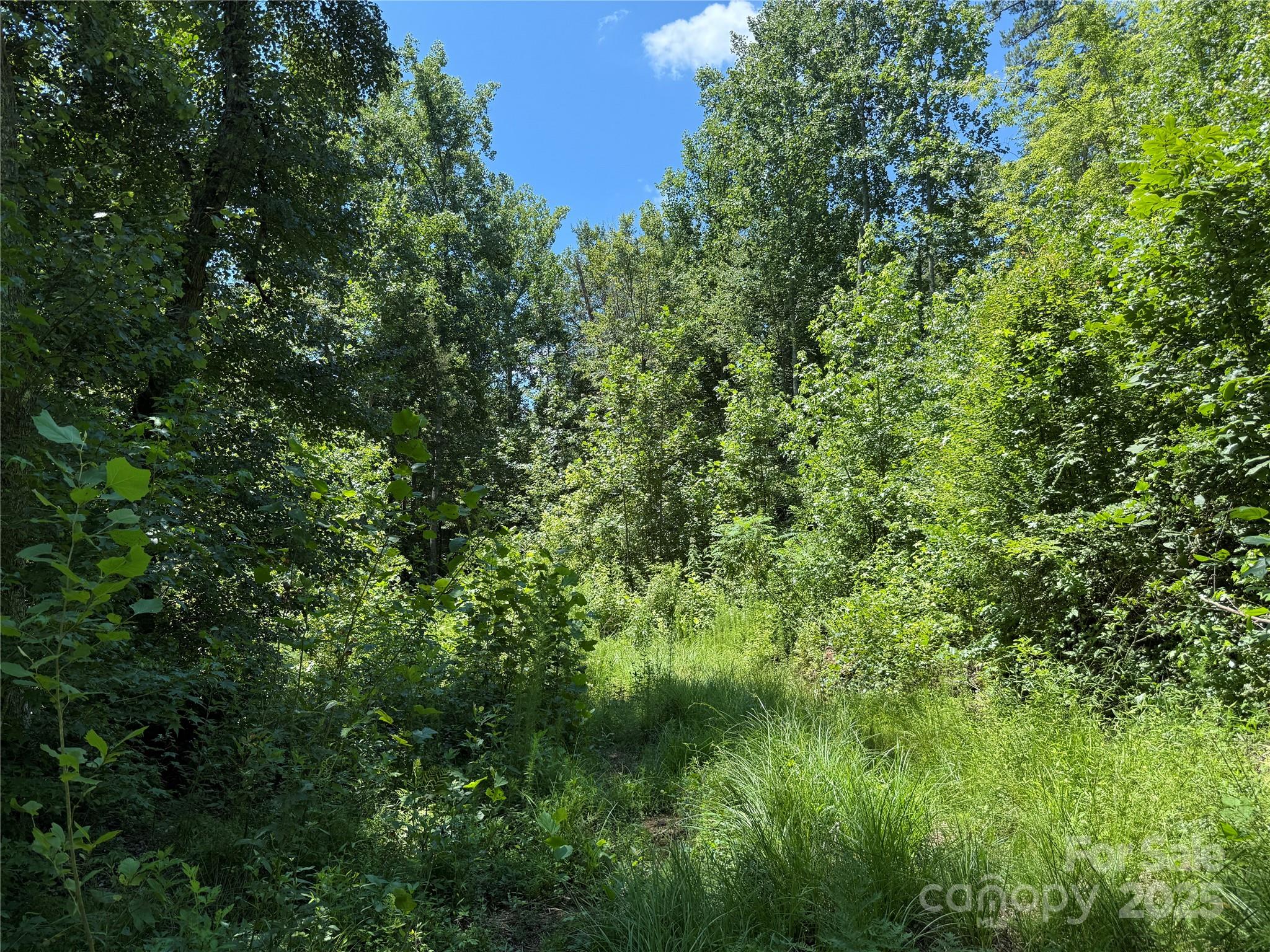 0 Collins Road, Unit 3 Forest City, NC 28043 - Photo 8 of 13 Gallery Image 8