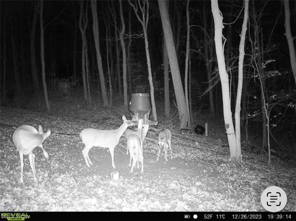 Tatman Road Uhrichsville, OH 44683 - Photo 10 of 11