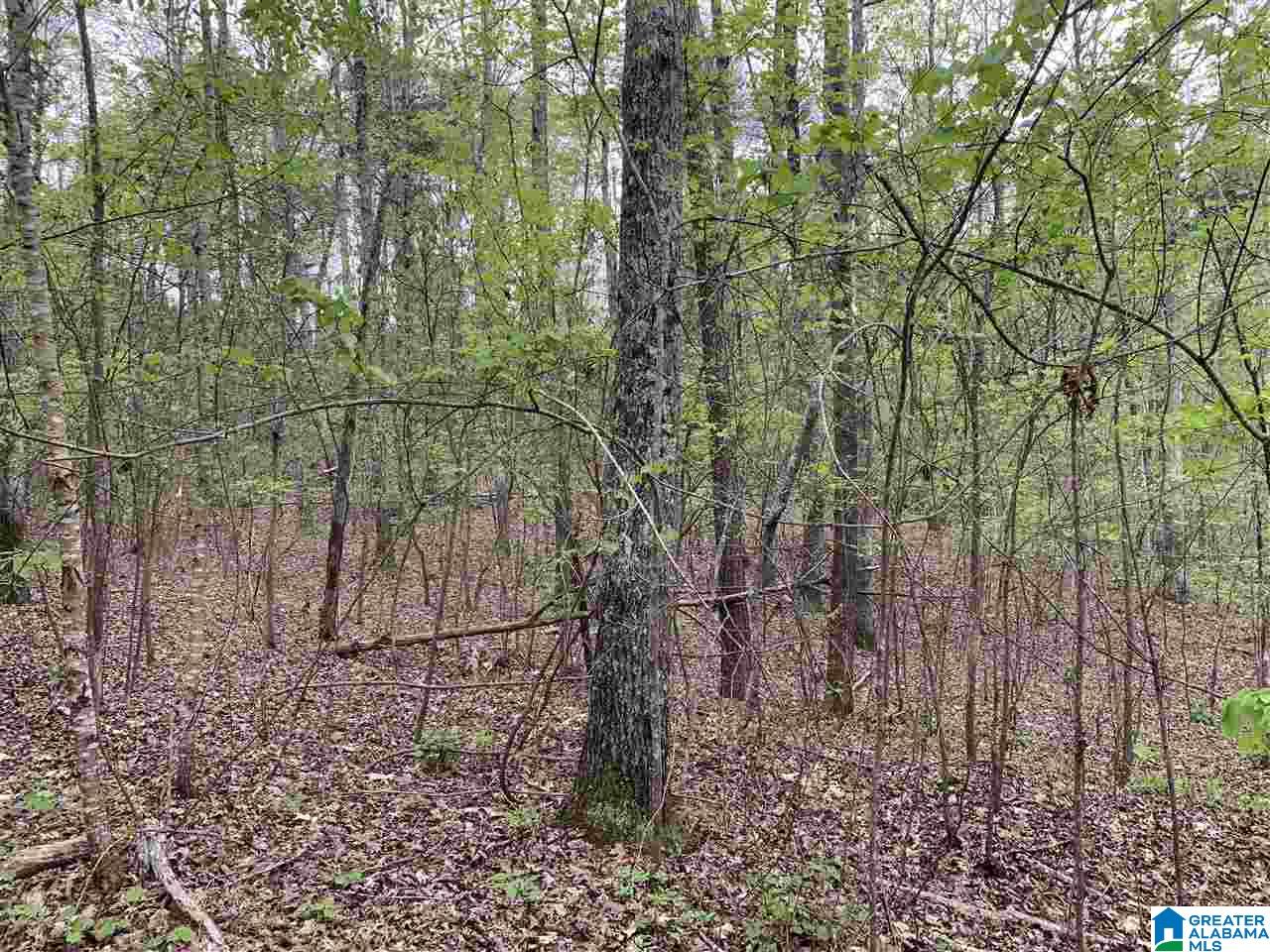 0 Sipsey Pines Road, Unit 132 Arley, AL 35541 - Photo 3 of 5
