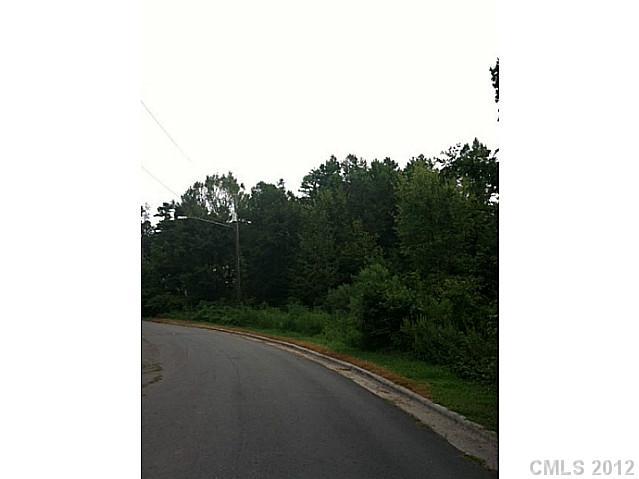 0 Vernedale Road Charlotte, NC 28212 - Photo 5 of 9 Gallery Image 5
