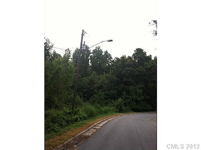 0 Vernedale Road Charlotte, NC 28212 - Photo 8 of 9 Gallery Image 8