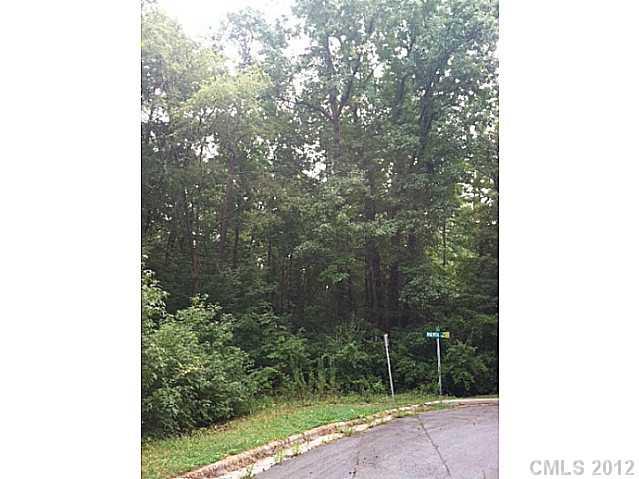 0 Vernedale Road Charlotte, NC 28212 - Photo 9 of 9 Gallery Image 9