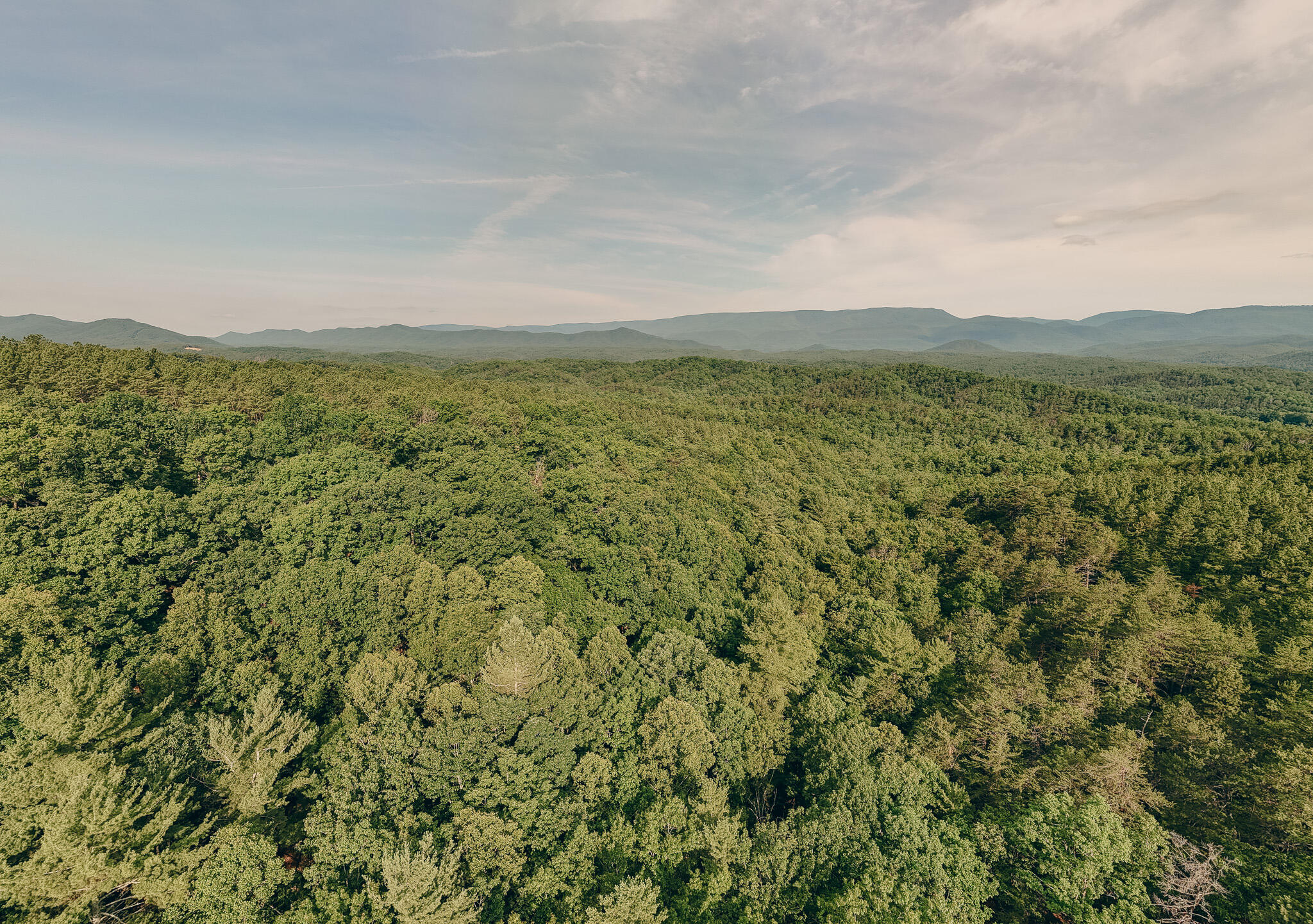 0 Sugar Tree Hollow Road Eagle Rock, VA 24085 - Photo 5 of 18 Miller 18