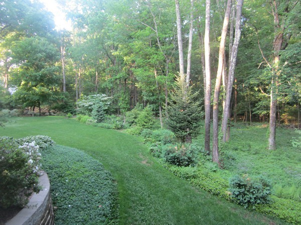 286 Sargent Road Boxborough, MA 01719 - Photo 5 of 29 a view of a garden with plants