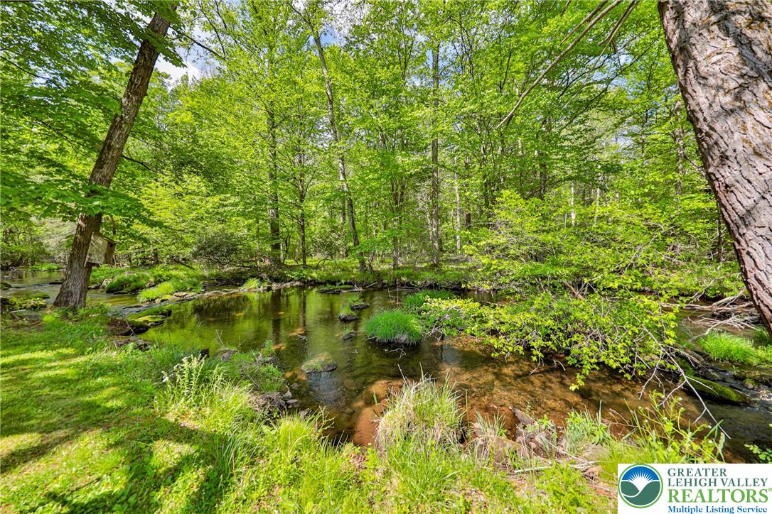 331 Cranberry Creek Road Cresco, PA 18326 - Photo 77 of 95 A tranquil stream meanders through a verdant forest, offering serene views.