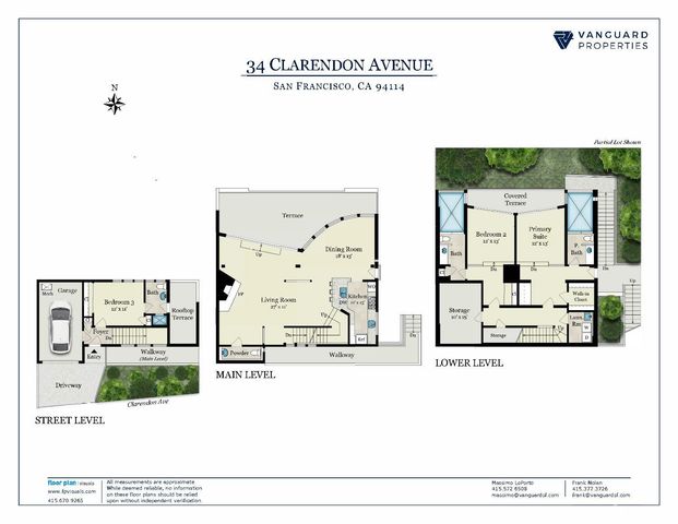 a picture of a park with large trees