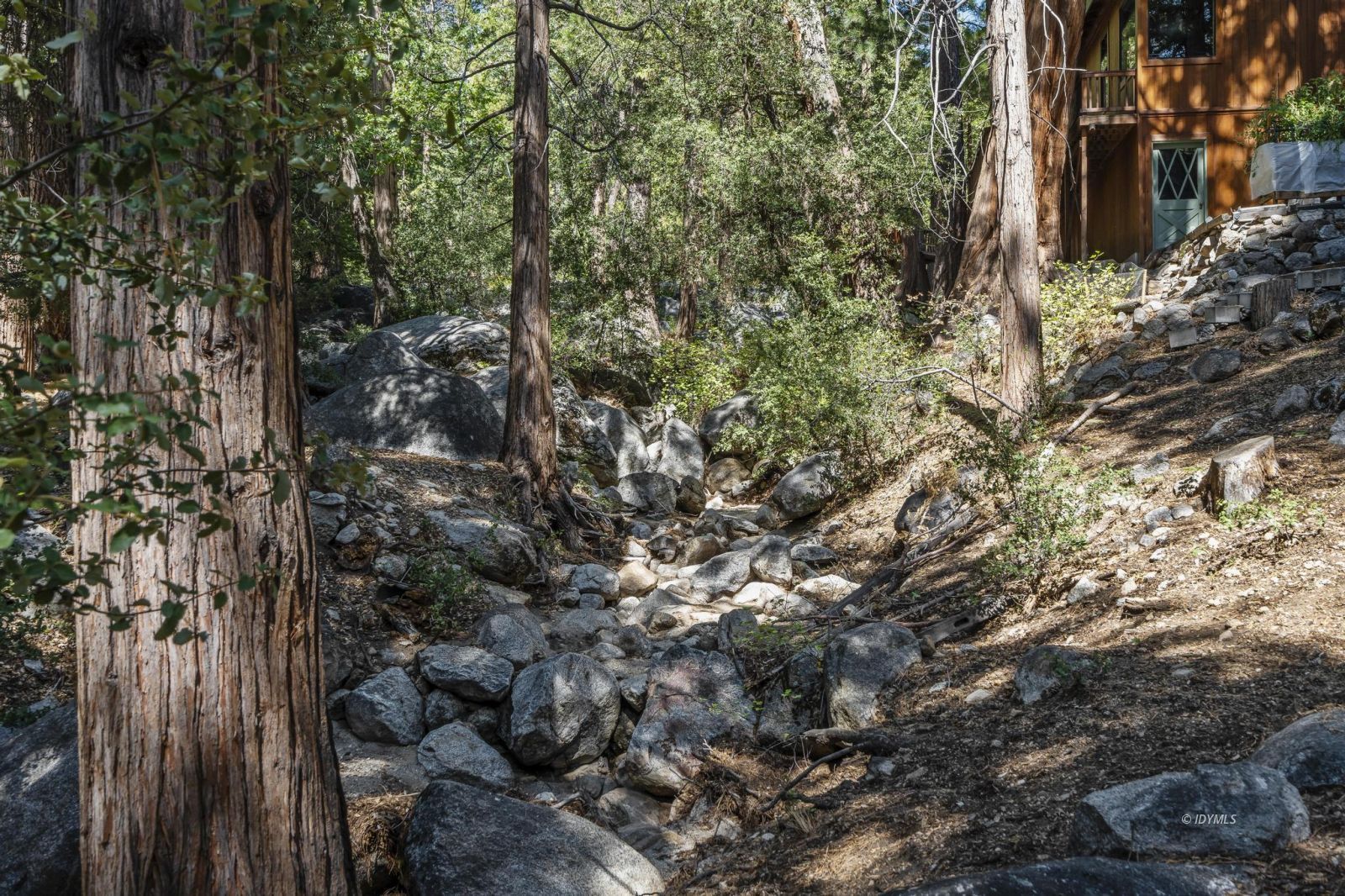 24747 Fern Valley Road Idyllwild, CA 92549 - Photo 4 of 42 a view of a forest with trees