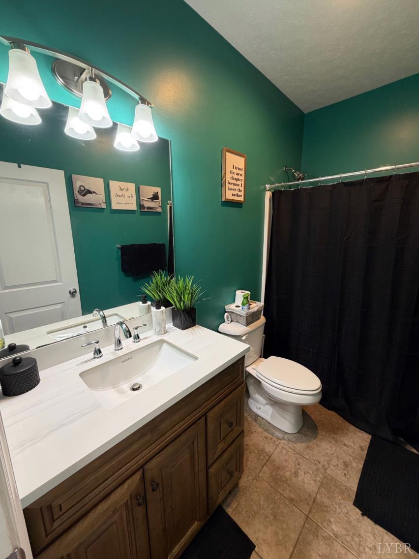 271 Pleasant Ridge Drive Madison Heights, VA 24572 - Photo 31 of 52 a bathroom with a sink a toilet and mirror