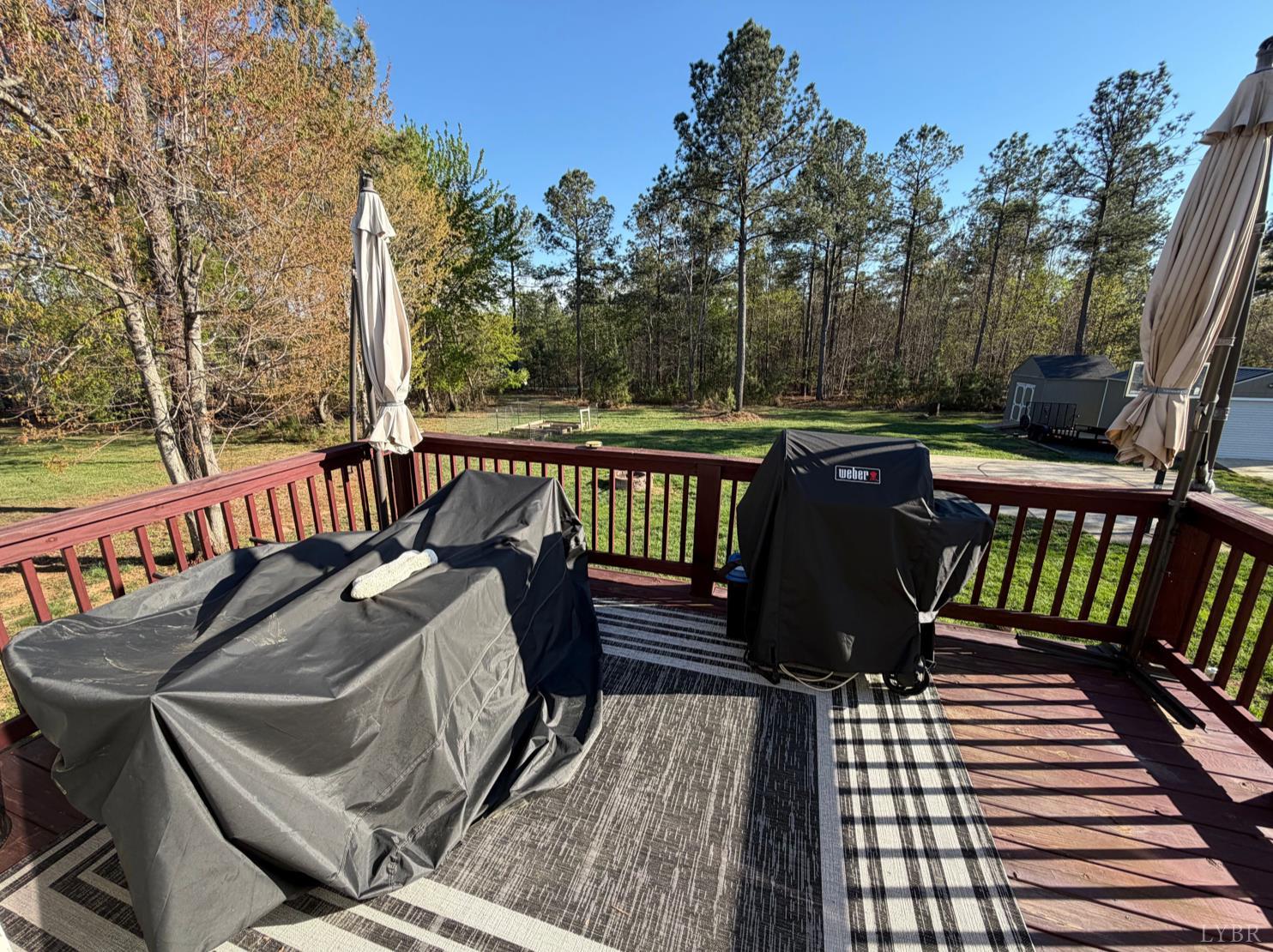 271 Pleasant Ridge Drive Madison Heights, VA 24572 - Photo 39 of 52 a view of a roof deck with couches