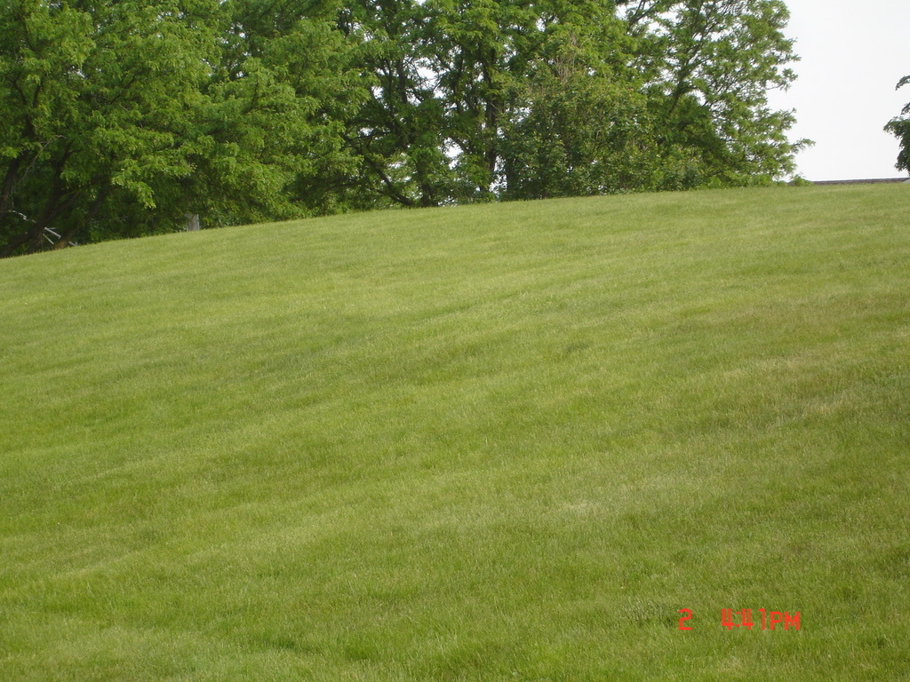708 Briar Hill Lane, Unit 2 Addison, IL 60101 - Photo 10 of 14