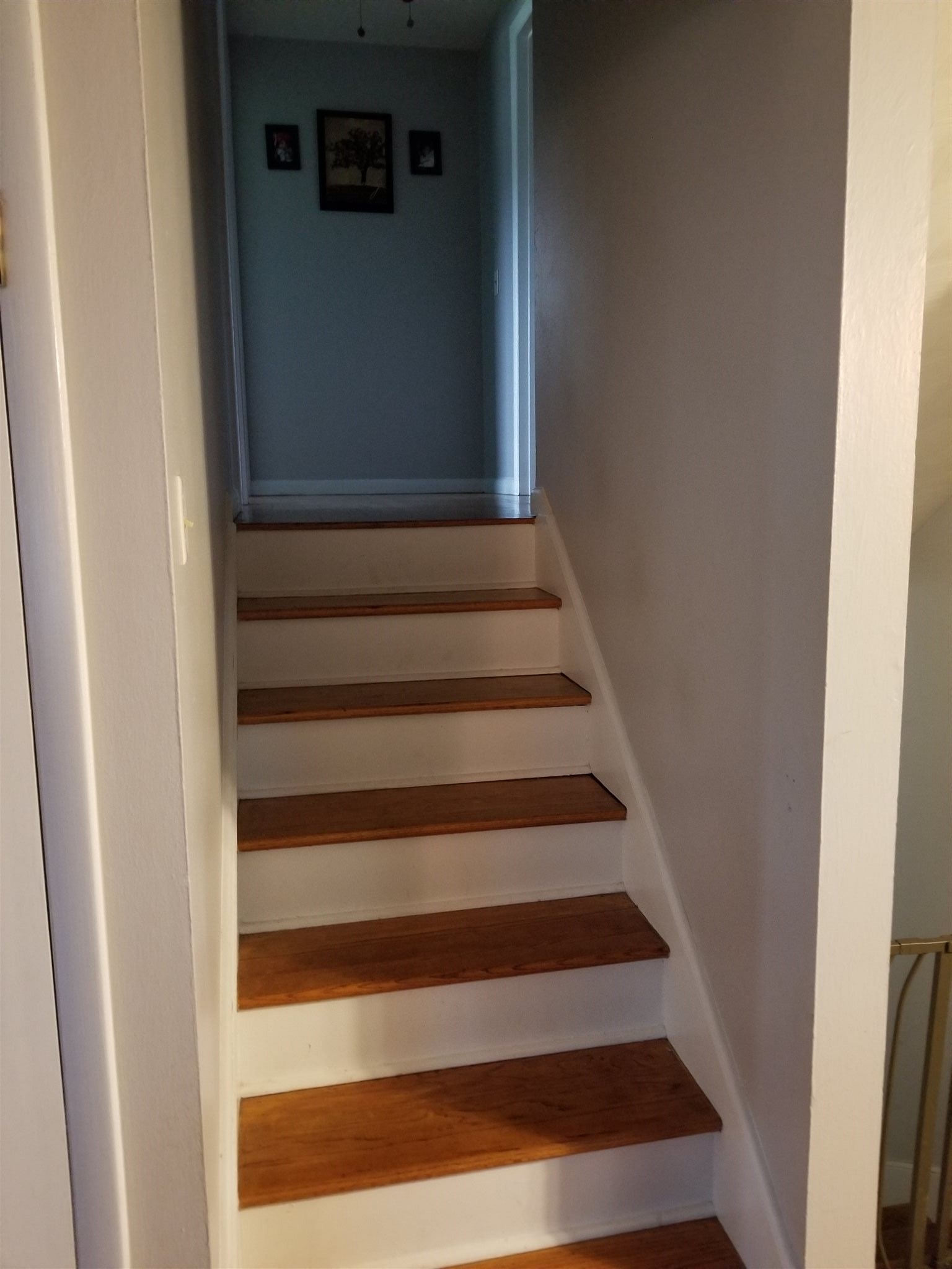 3924 Maplecrest Road Fort Wayne, IN 46815 - Photo 10 of 21 Gallery Image 10