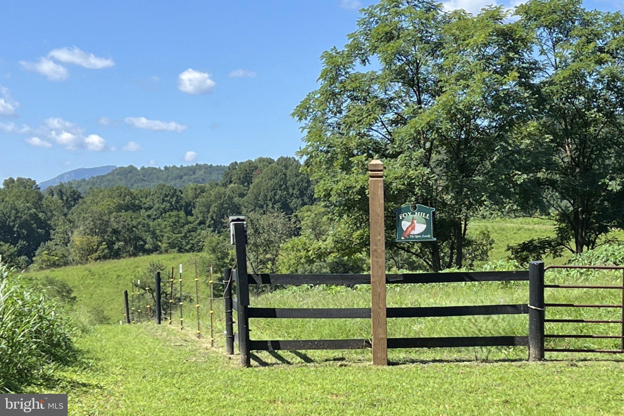 439 Rudasill Road Woodville, VA 22749 - Photo 55 of 55 View of Old Rag Mountain at the property entrance.