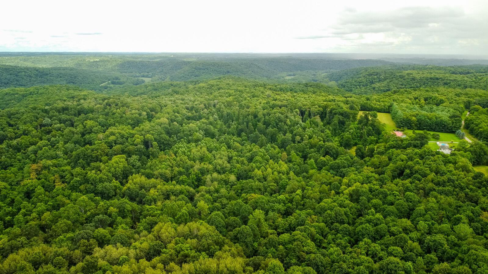 29739 Chestnut Ridge Road Danville, OH 43014 - Photo 54 of 57 29739 Chestnut Ridge-41