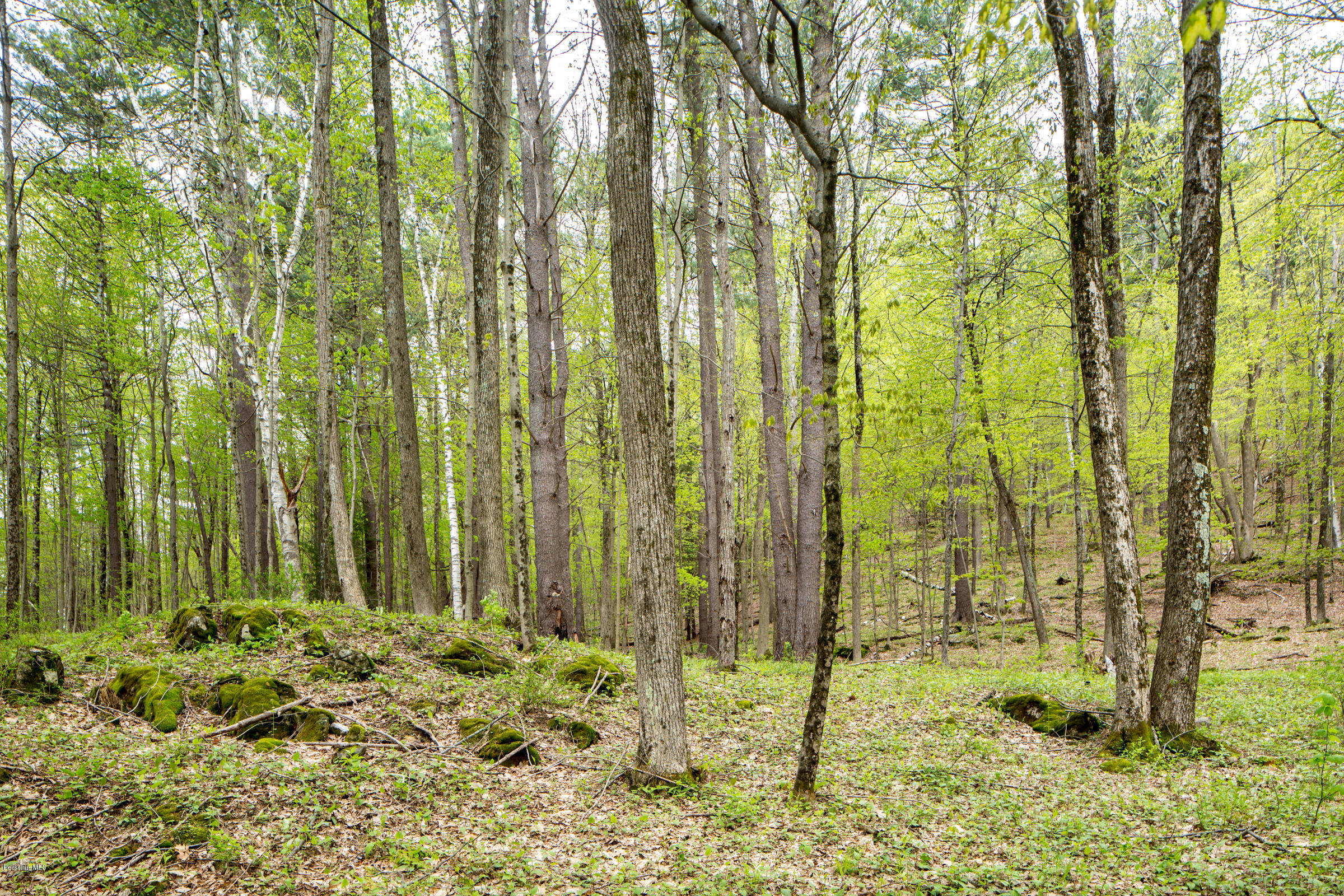 276 South Undermountain Road Sheffield, MA 01257 - Photo 24 of 29 276-Undermountain-120