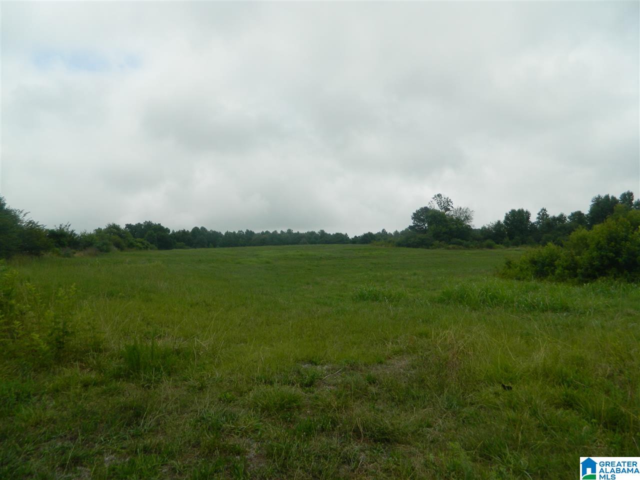 0 County Road 76 Cullman, AL 35057 - Photo 1 of 14