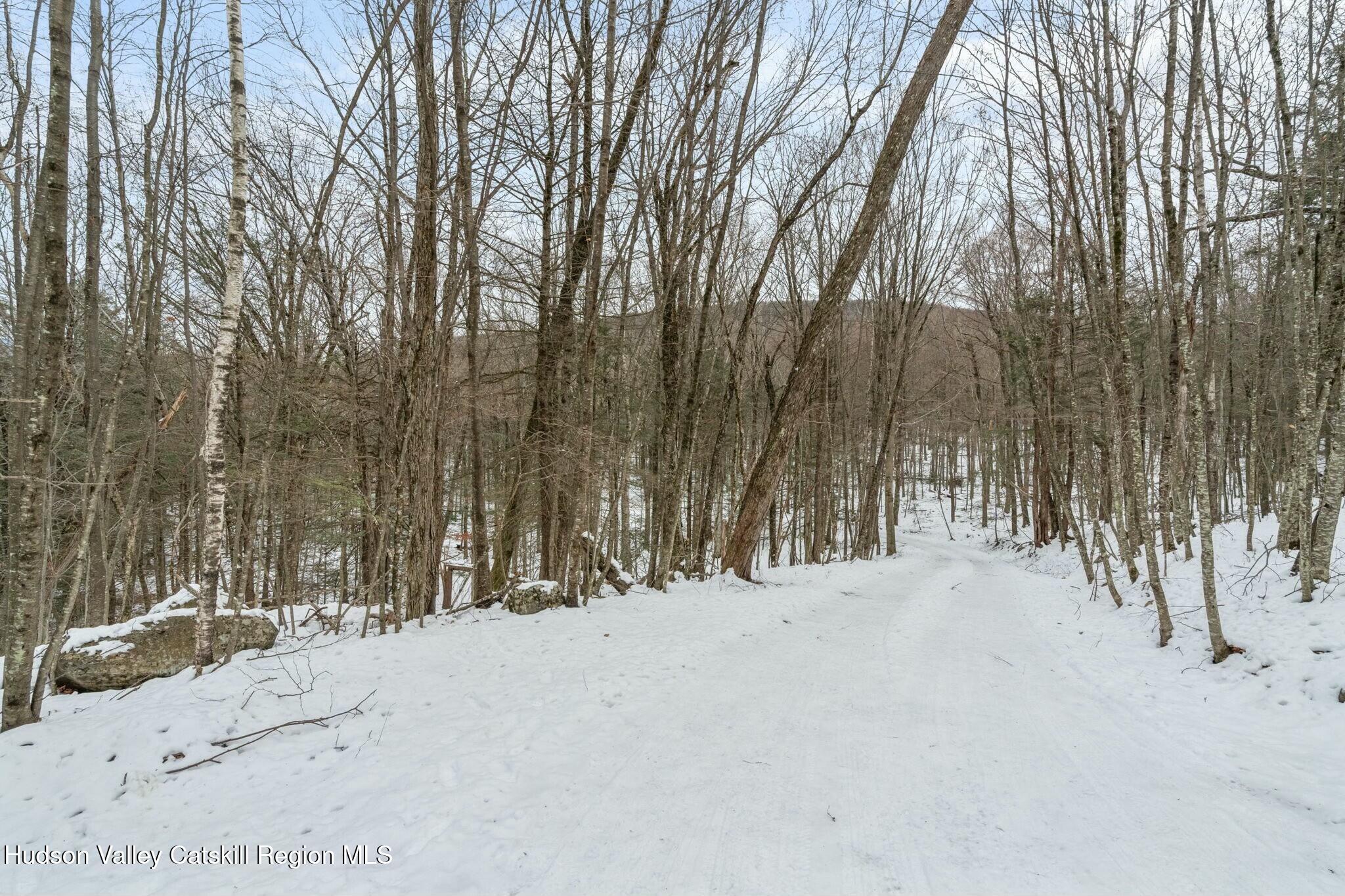 250 Macdaniel Road Woodstock, NY 12498 - Photo 30 of 39 a view of a snow on the road