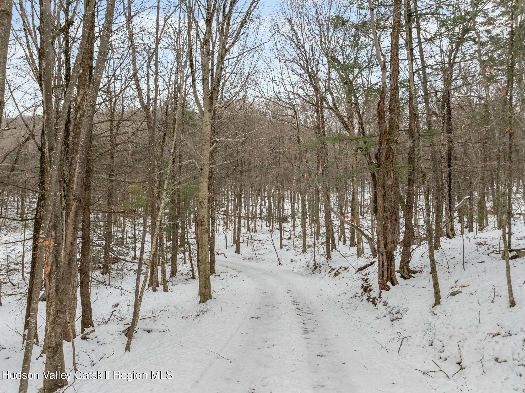 250 Macdaniel Road Woodstock, NY 12498 - Photo 31 of 39 a view of outdoor space with lots of trees