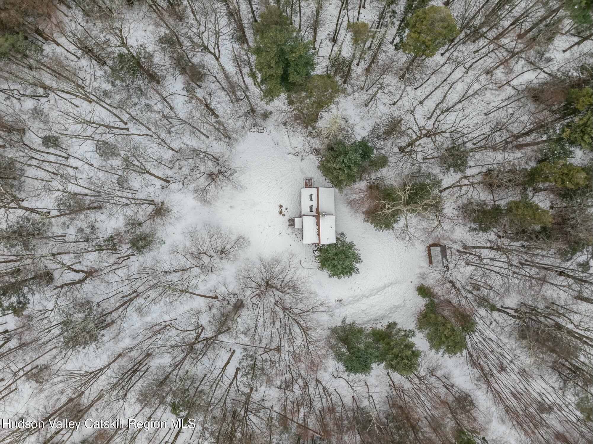 250 Macdaniel Road Woodstock, NY 12498 - Photo 37 of 39 a view of a yard with trees