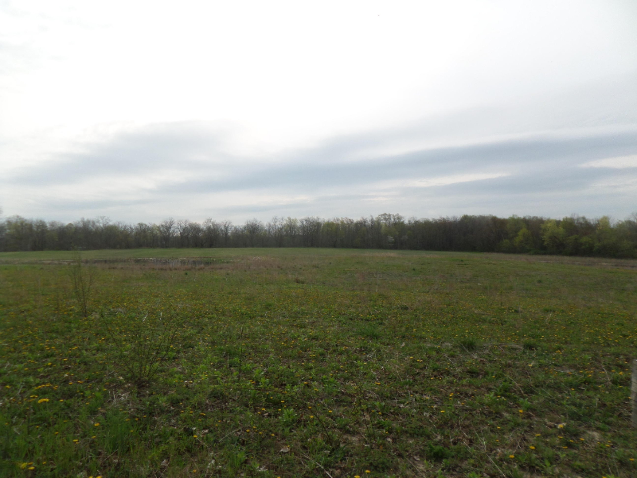 Adams Road Galien, MI 49113 - Photo 1 of 4 SAM_8652