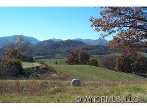 509 Old Newfound Road Leicester, NC 28748 - Photo 10 of 12 Gallery Image 10