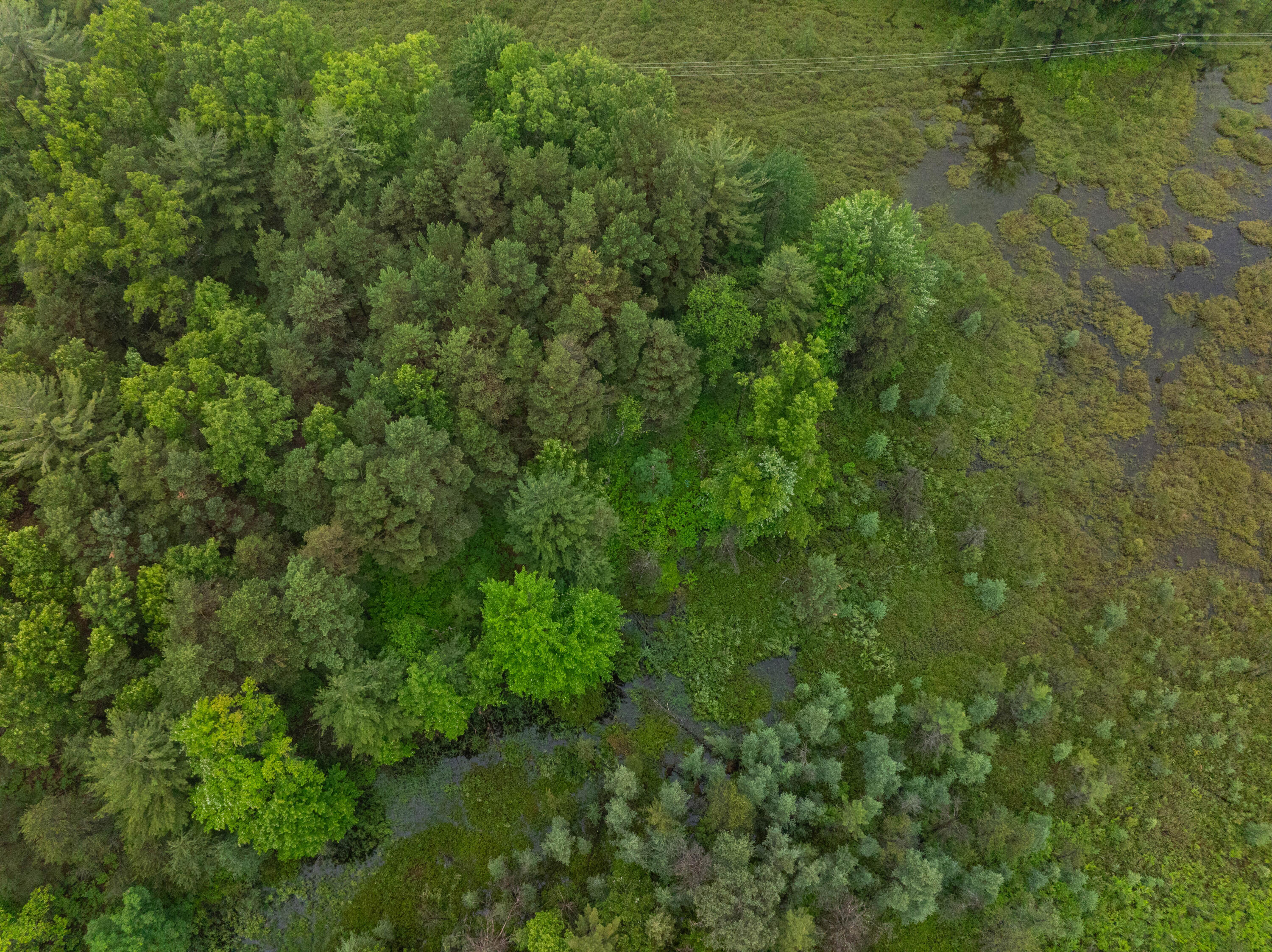 8.09 North A N Centerline Road White Cloud, MI 49349 - Photo 7 of 41 DJI_20260609115428_0313_D