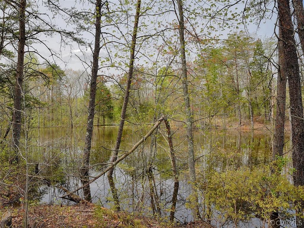 614 Plain Dealing Road Palmyra, VA 22963 - Photo 11 of 31 a view of a covered with large trees