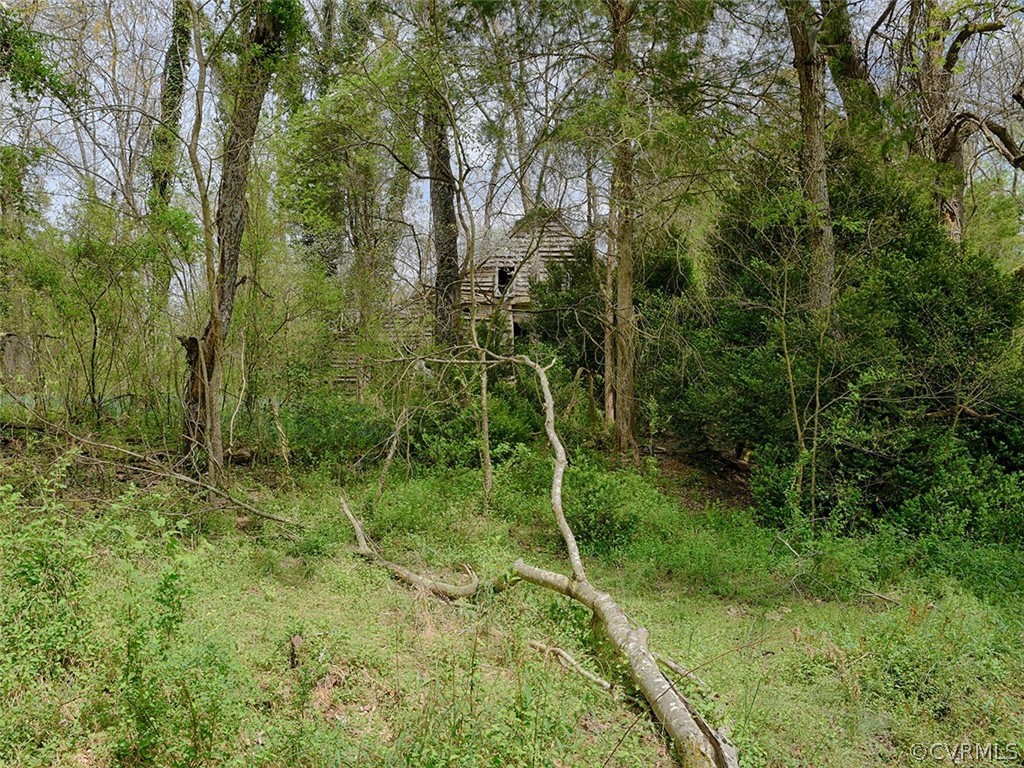 614 Plain Dealing Road Palmyra, VA 22963 - Photo 14 of 31 a view of a yard