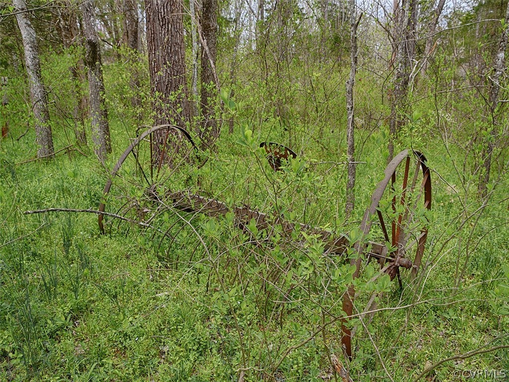 614 Plain Dealing Road Palmyra, VA 22963 - Photo 15 of 31 a view of a backyard