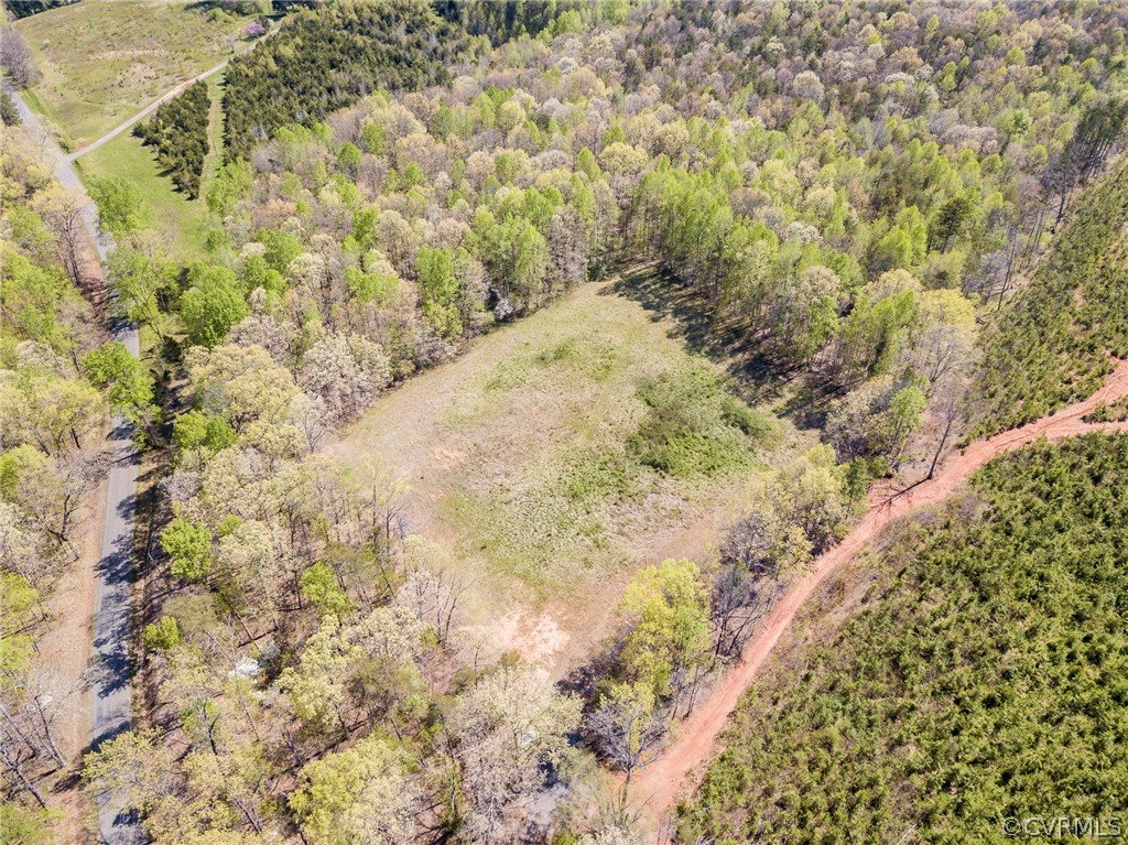 614 Plain Dealing Road Palmyra, VA 22963 - Photo 20 of 31 a view of a dry yard with lots of bushes