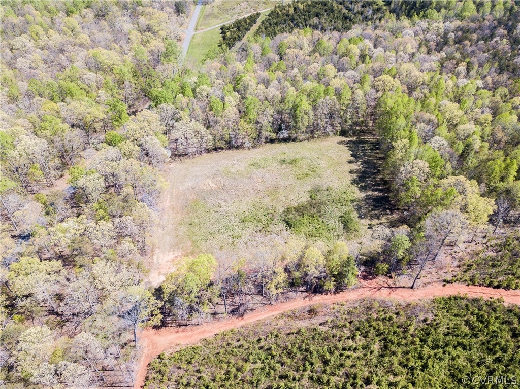 614 Plain Dealing Road Palmyra, VA 22963 - Photo 21 of 31 a view of a yard with a tree
