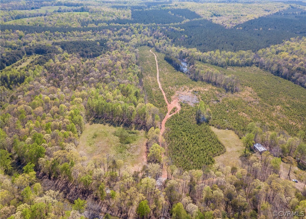 614 Plain Dealing Road Palmyra, VA 22963 - Photo 23 of 31 a aerial view of a house with a yard