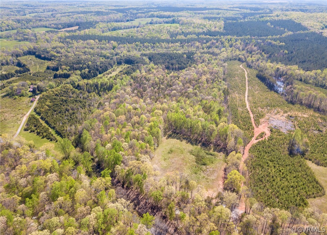 614 Plain Dealing Road Palmyra, VA 22963 - Photo 24 of 31